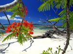 Seychelles Beach