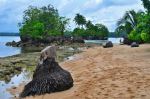 One Of The Islands At Hinatuan Surigao Del Sur
