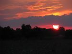 Sunset Over A Field Of Wildflowers