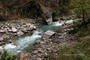 Water Stream In Forest