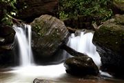 Waterfalls Agumbe Rain Forest