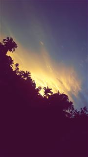 Sun Rise