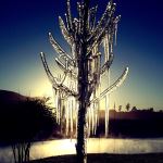Ice Tree