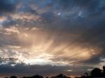 Rays