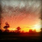 Florida Sunset