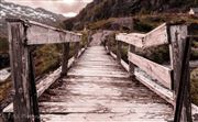A Narrow Bridge