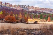 After The Summer Blaze