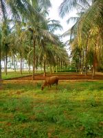 Alone