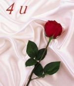 Rose 4 U