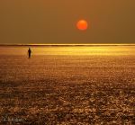 Lonely Walk