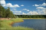 Tranquil Lake Hollow