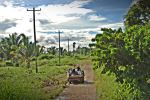 Belize People In Back Of Truck
