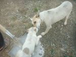 Mothers Affection 02