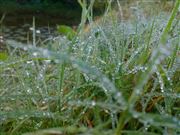 Cool Morning 