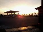 Amidst The Sunset Shine