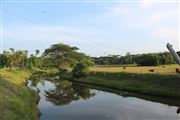 Grambangla Beautiful Village Picture