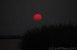 Sunset On The Chobe