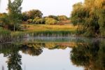 Fall Reflections 