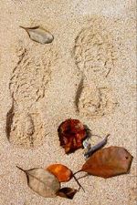 Foot Prints In The Sand