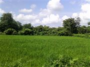 Indian Vasad-Dungri  Village Atmosphere