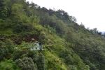 The Sheltering Mountain