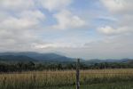 Smokies Over The Fence