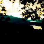 Hill Country Landscape