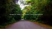 Road In The Midst Of Forest