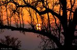 Orange Rise