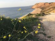 Yellow At The Beach