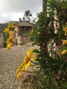 Yellow Flower Stone World