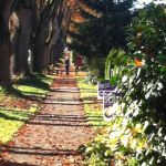 The Path Of Fall