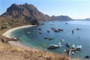Fishing Boats Huddled In Padar Bay