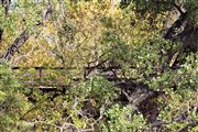Autumn Railroad