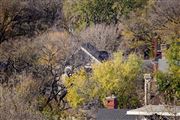 Autumn Rooftops