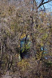 Blue Hidden House