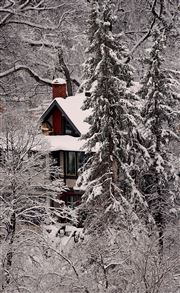 Cedar House In Snow
