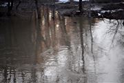 Flood Reflections