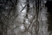 Flood Reflections3
