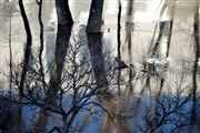 Flood Reflections4