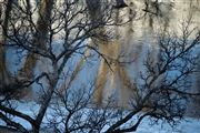Flood Reflections5