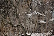 Stone House in Winter