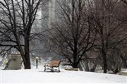 Park Bench in Winter