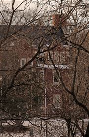 Red Mansion in the Trees