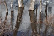 River Reflections