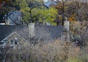 Rooftops In Autumn
