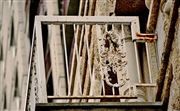 Rusted Rail