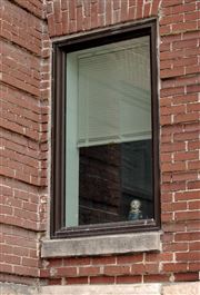 Window Doll