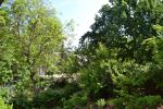 Beauty Of Spring