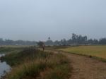 Lonely Way